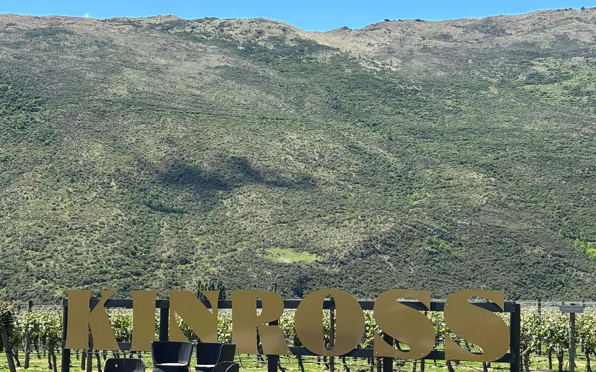 Rows of vines in a valley seen from the air